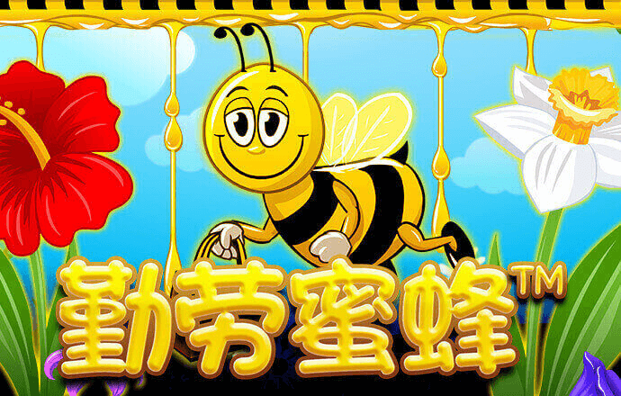 宝博体育官网